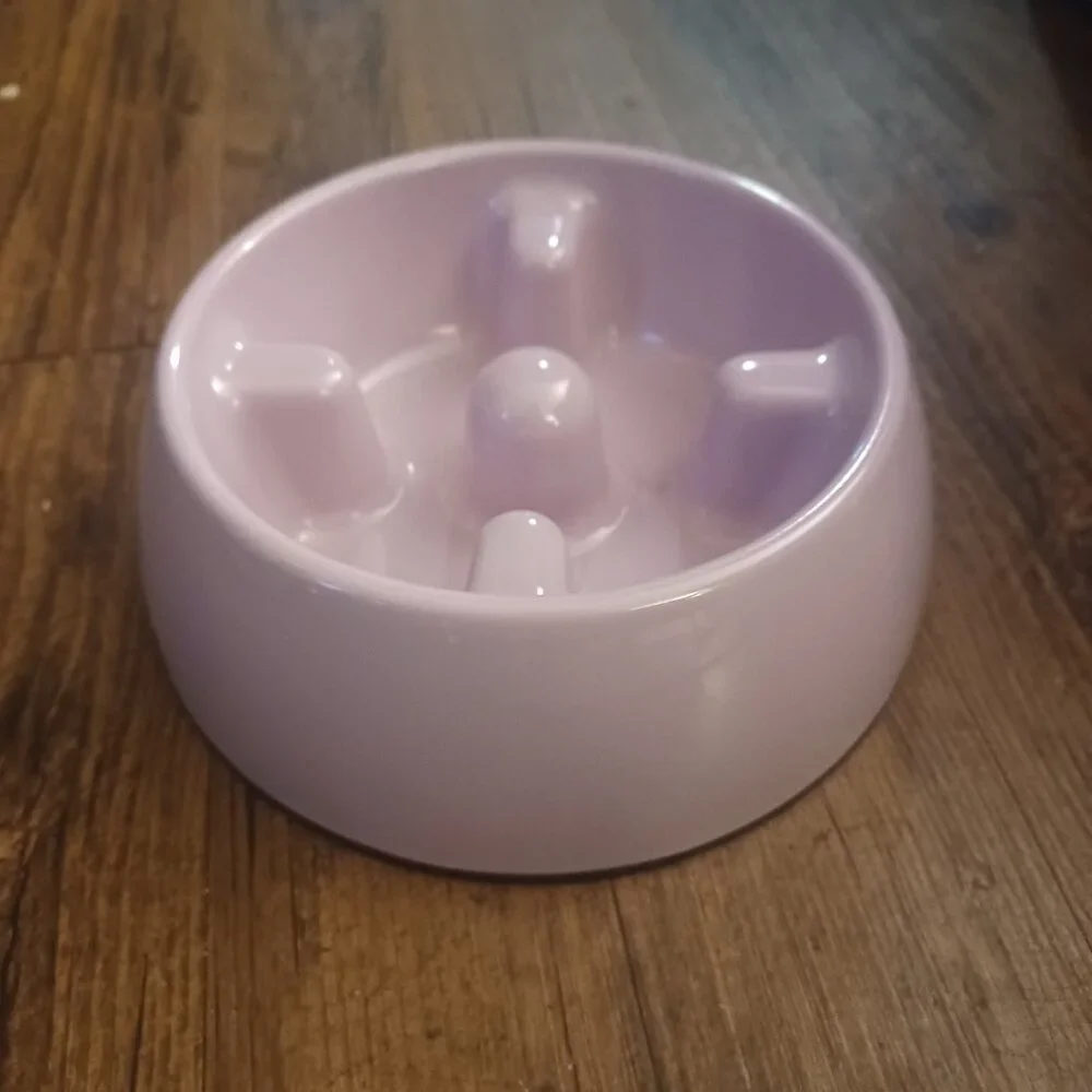 NEW Slow Feeder Dog Bowl for Wet or Dry Dog Food, Go Slow Anti-Gulping Dish